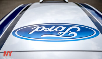
									Ford Fiesta S2000 full								