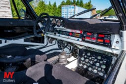 Porsche 911 Gr.4 Safari full