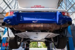 Porsche 911 Gr.4 Safari full